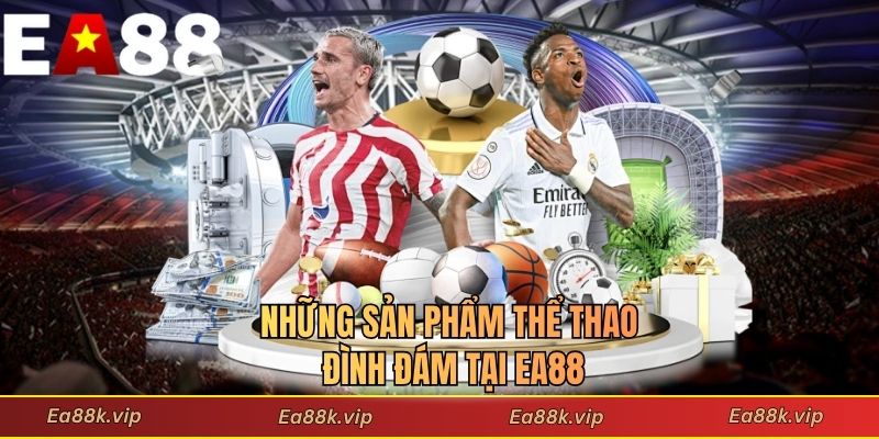 Những sản phẩm thể thao đình đám tại EA88
