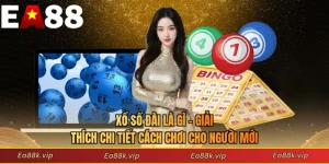 Xổ Số Đài Là Gì - Giải Thích Chi Tiết Cách Chơi Cho người Mới